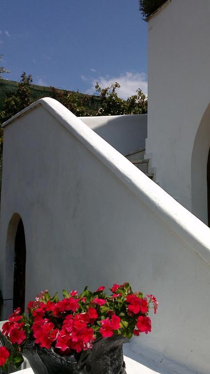 Apartament Garneli